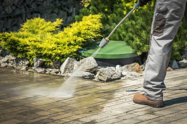 Best Warehouse Cleaning  in Las Flores, CA